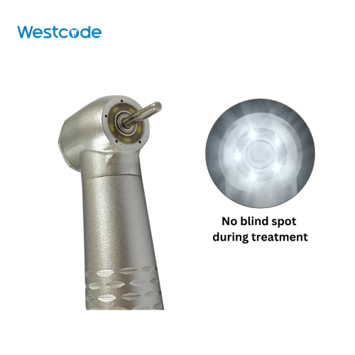 Westcode X5LG No Blind Spot profitssm.png