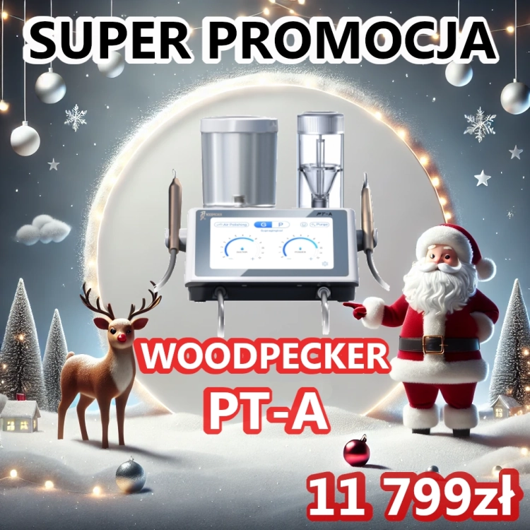 PT-A-PROFIT-PROMOCJA.webp