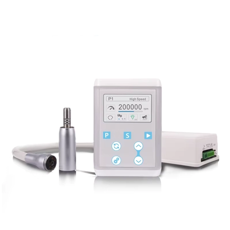 coxo c puma int +.webp