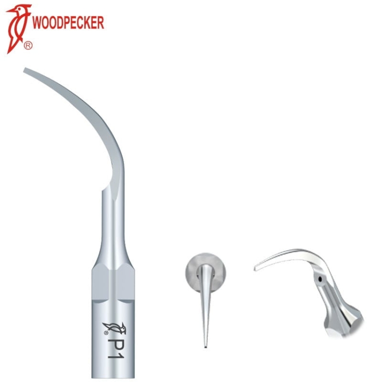 końcówka P1 sklera EMS woodpecker